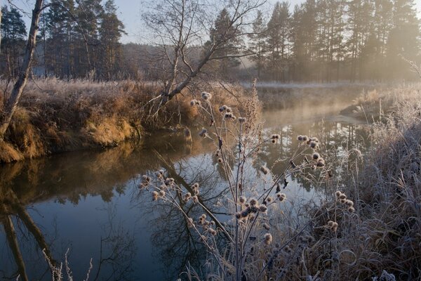 Schöne Landschaft des Winterbachs