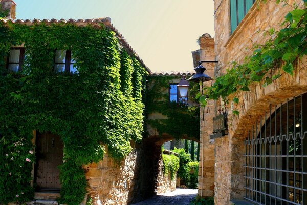 Hiedra fresca casa de ladrillo cubierto con forjado tallado y puertas