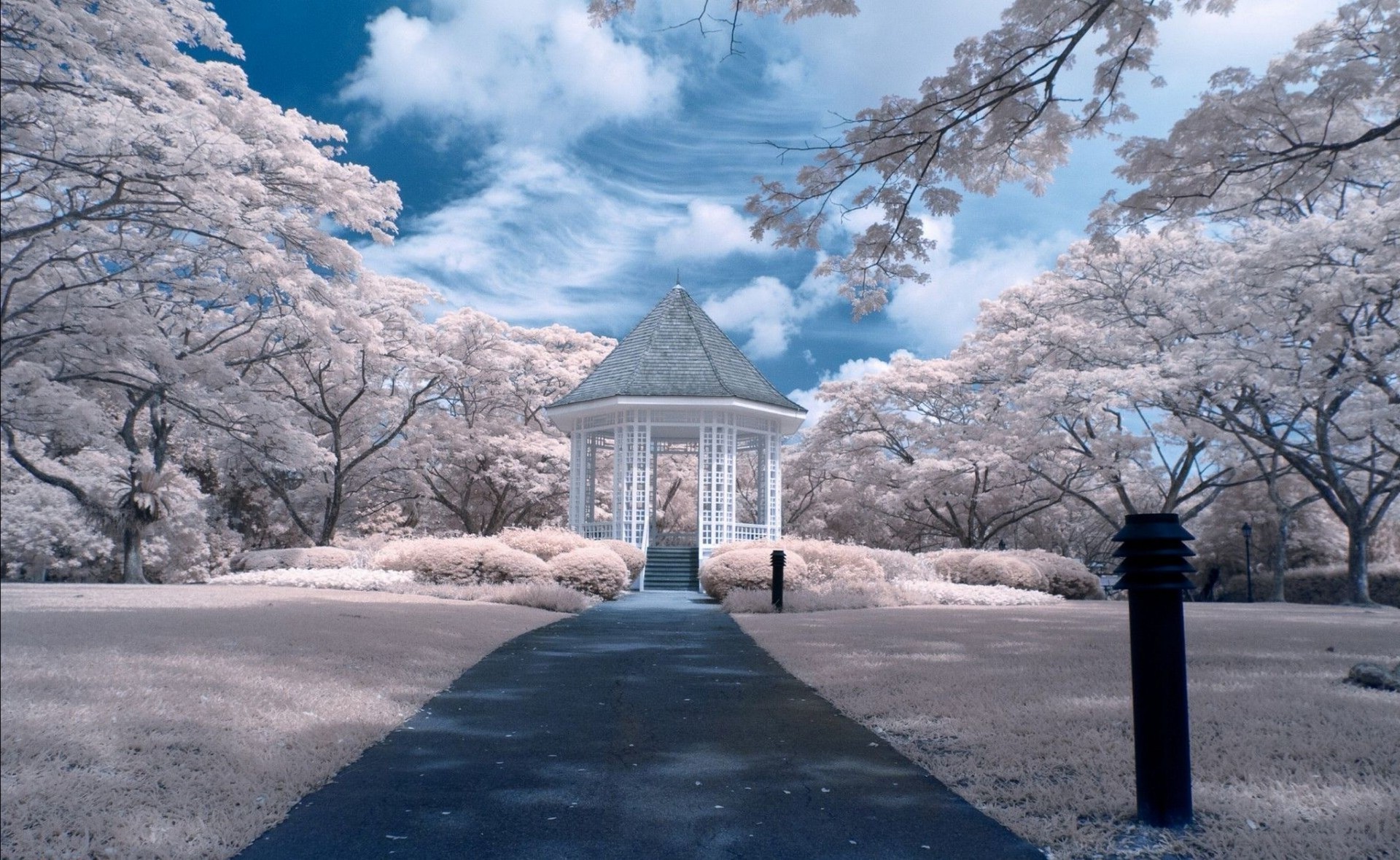 冬天 树 雪 公园 景观 道路 指南 季节 寒冷 风景 木材