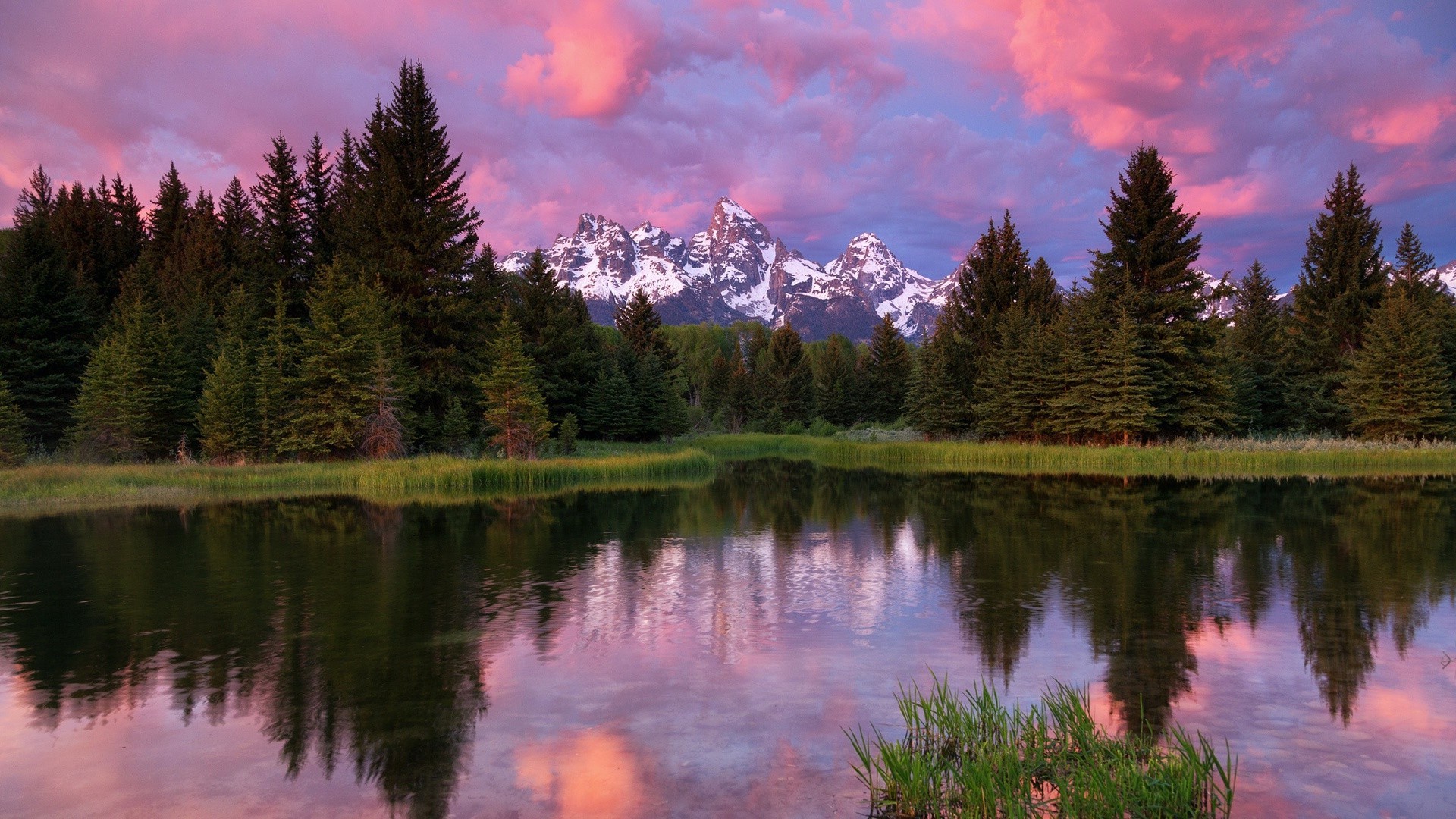 parchi lago natura paesaggio acqua riflessione all aperto legno legno alba autunno piscina scenic estate parco plesid sangue freddo fiume cielo