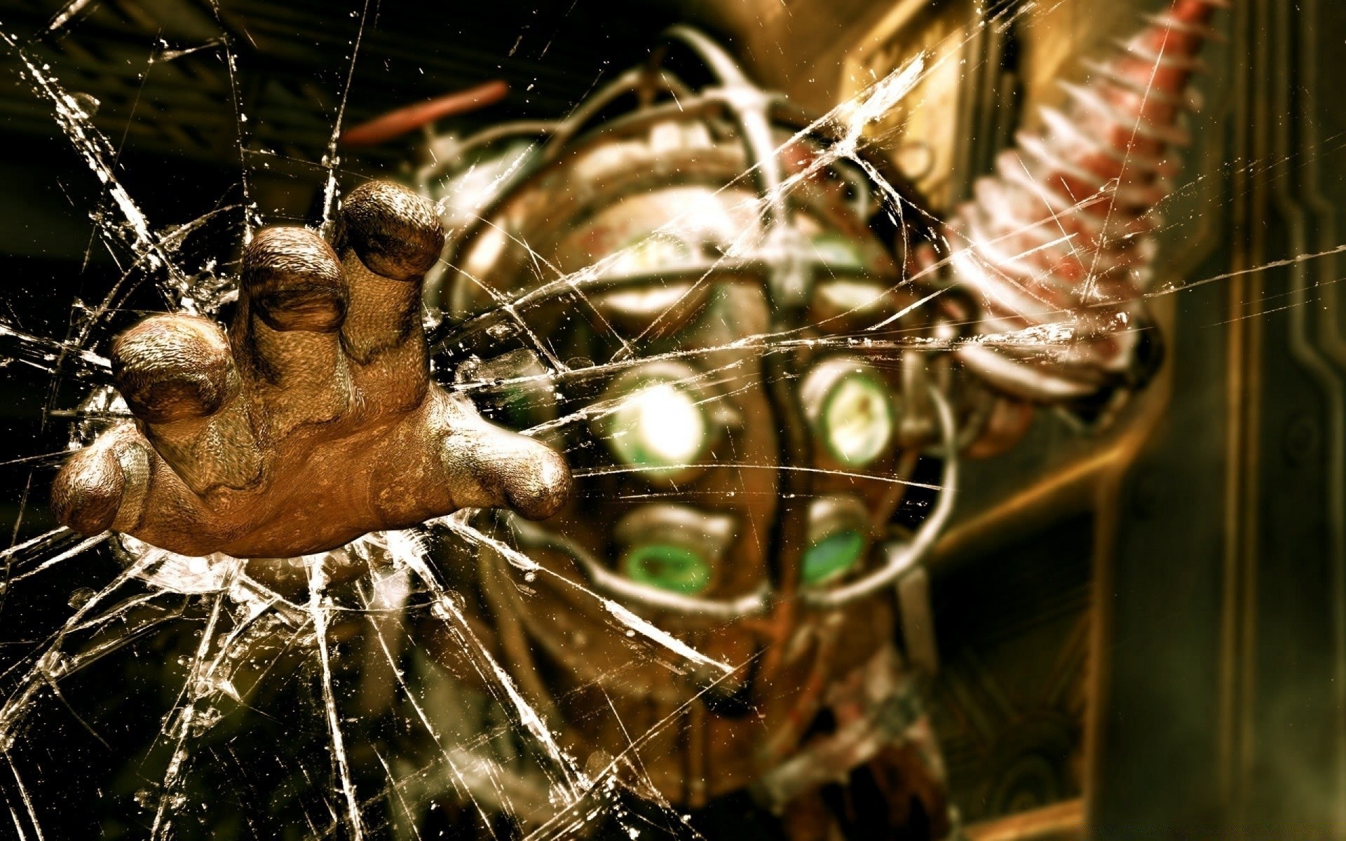 bioshock spinne insekt wirbellose natur spinnentiere gruselig