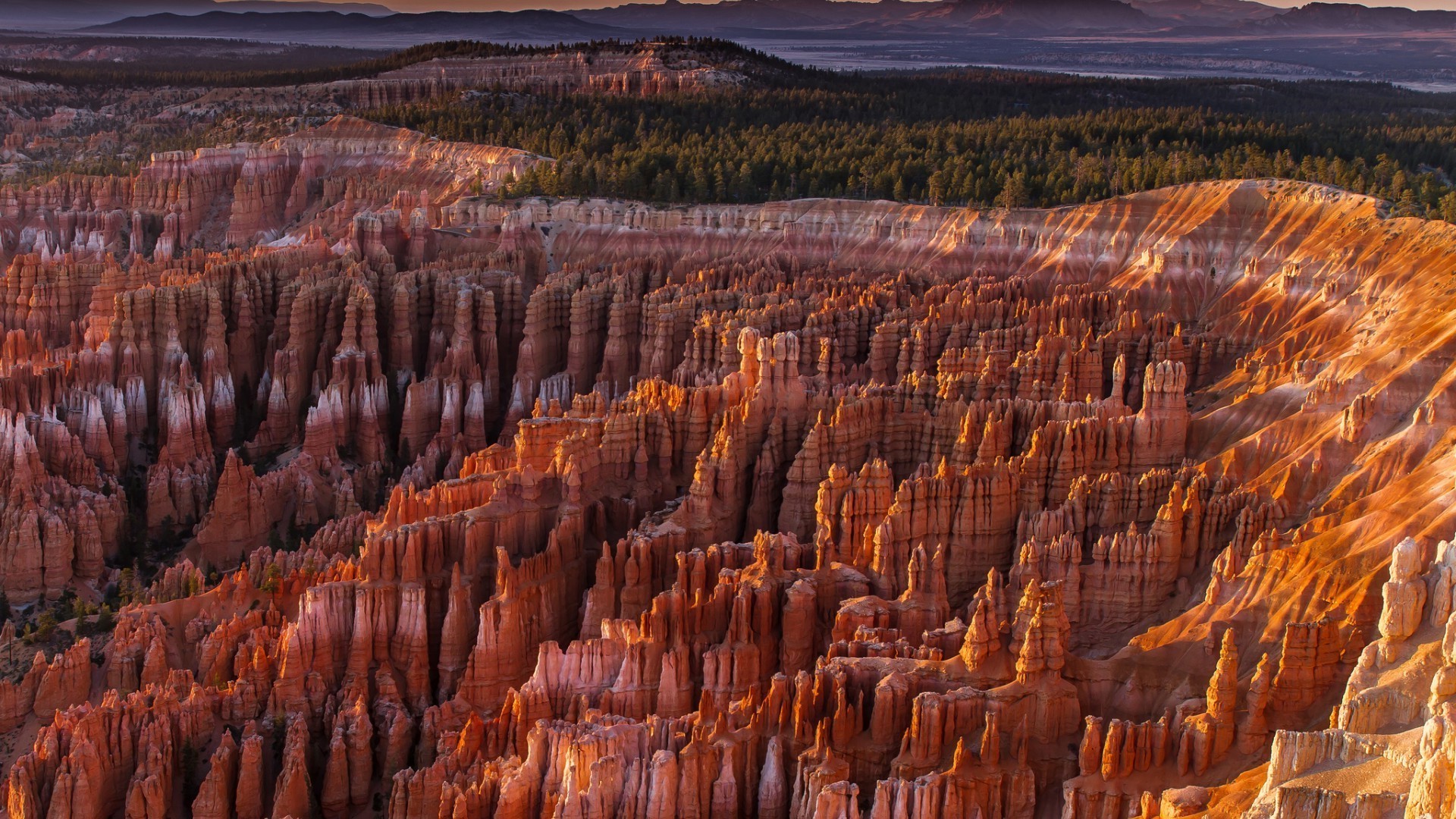 canyon erosione geologia arenaria canyon paesaggio all aperto deserto viaggi alba natura pinnacle roccia tramonto scenico parco formazione geologica anfiteatro