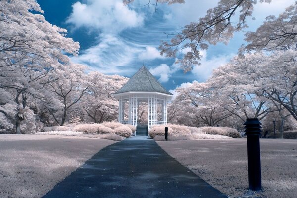 Romantischer Park in einer Winterlandschaft