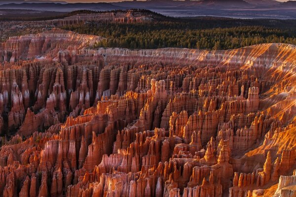 Um belo Canyon original em uma distância com uma floresta verde