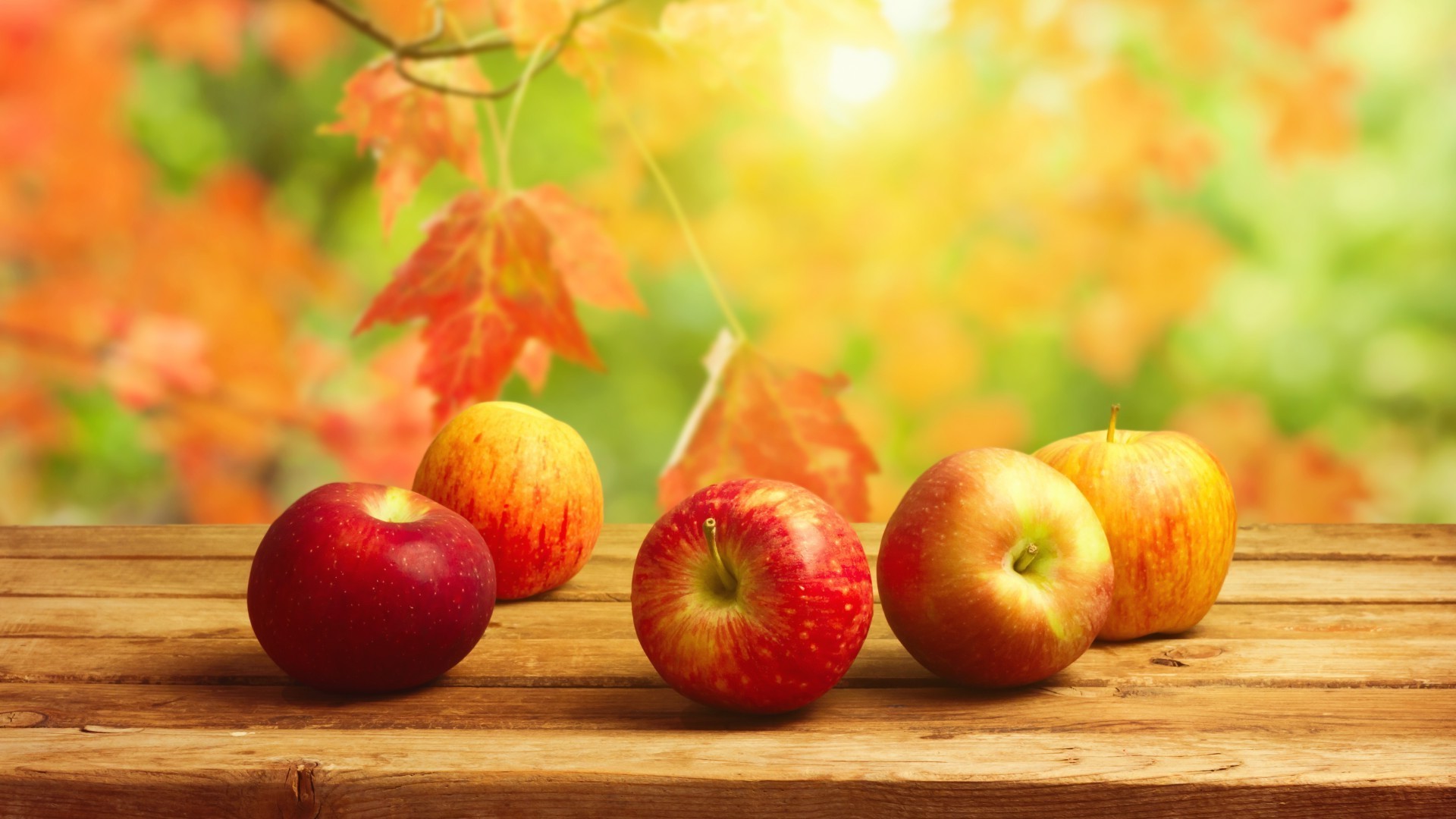 fruits pomme feuille alimentaire automne juteux en bonne santé alimentaire santé pâturage nature délicieux jardin pâtisserie fraîcheur régime alimentaire couleur partie agriculture