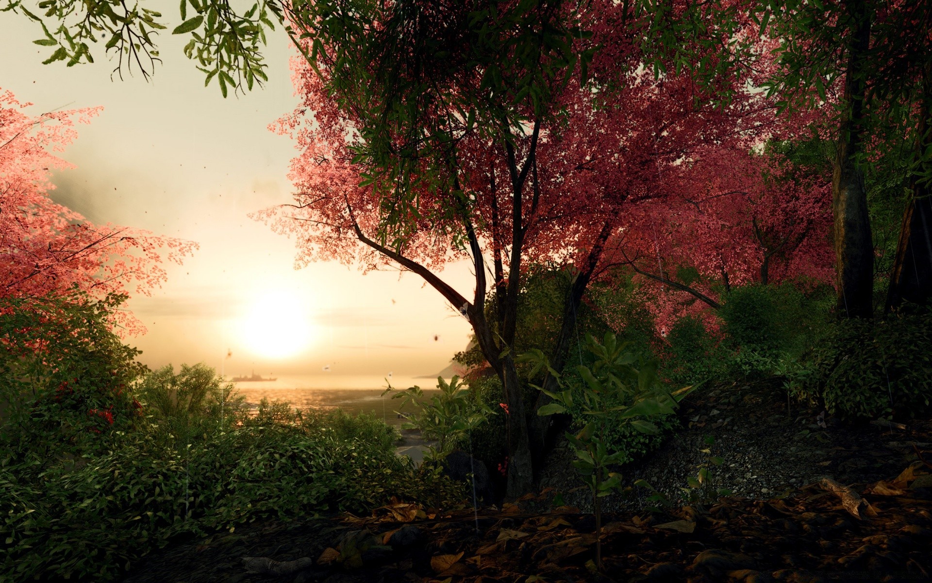 crysis tree landscape nature dawn leaf fall sun wood outdoors fair weather park fog sunset backlit light mist scenic