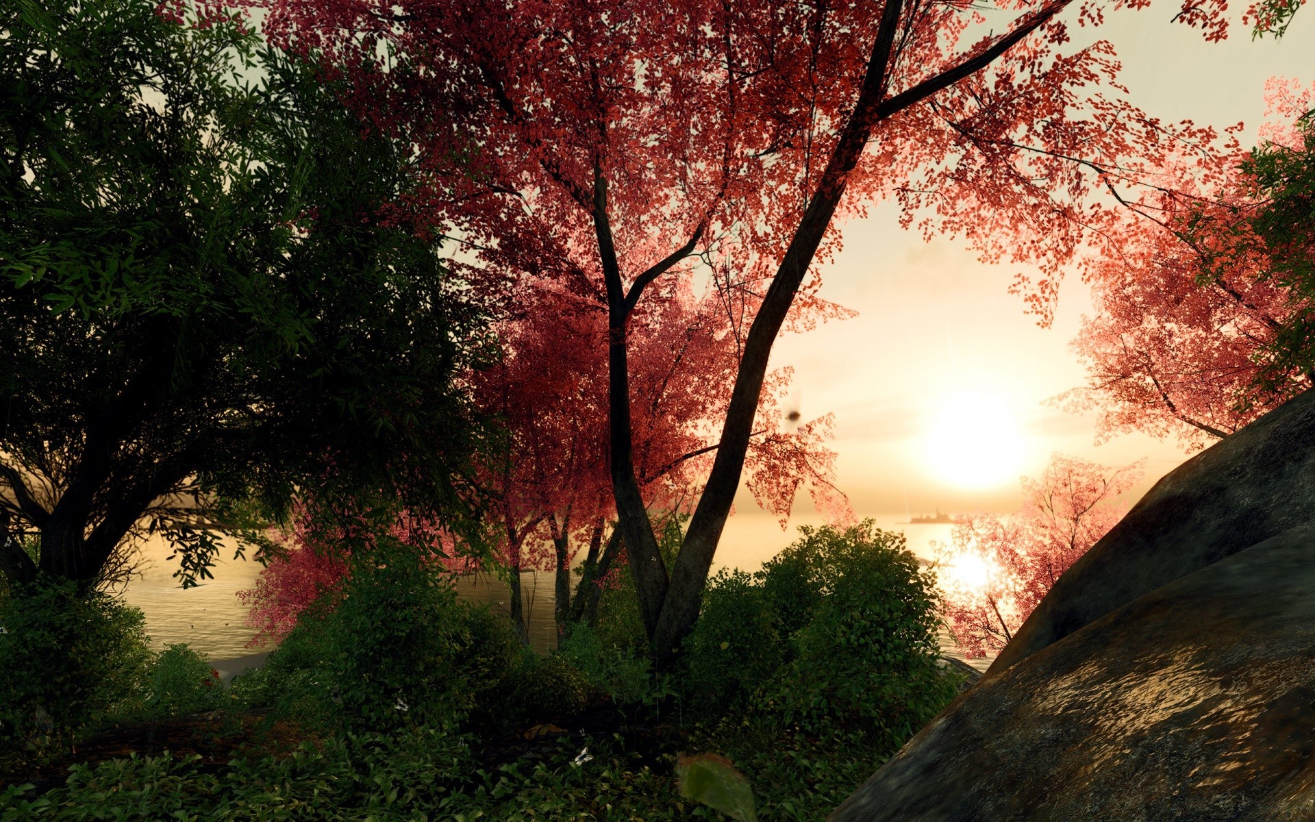 crysis tree dawn landscape nature sun leaf fair weather park wood sunset outdoors fall fog bright light branch