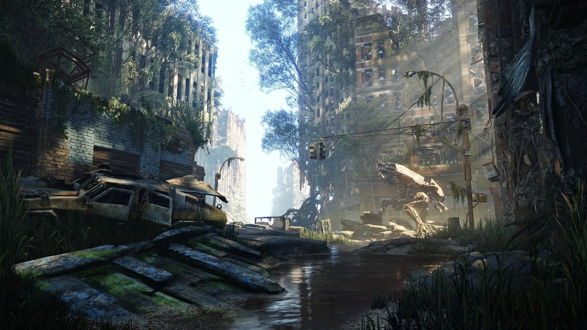 crysis су ағаш өзен саяхат ашық ауада пейзаж табиғат ағаштар