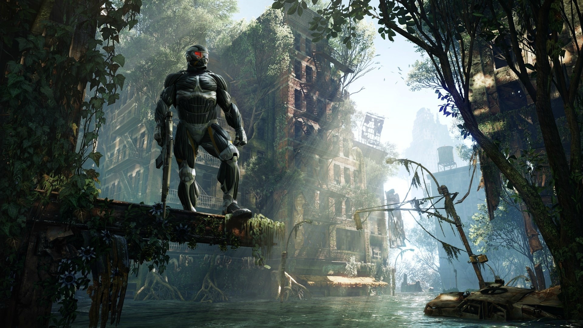 crysis agua árbol ocio viajes adulto hombre al aire libre