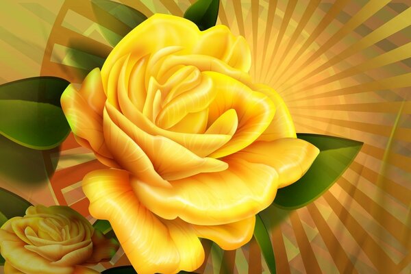 Yellow Rose shimmering in the sun