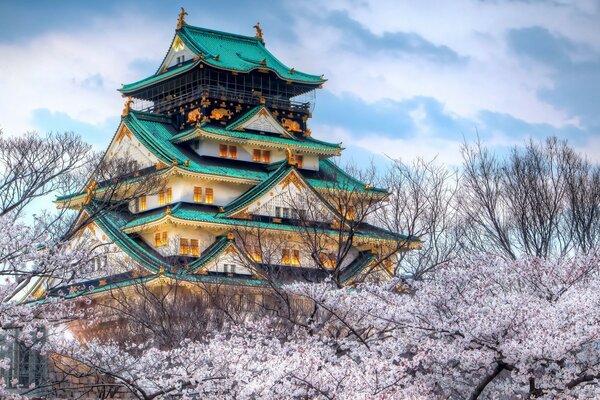 Arquitectura japonesa rodeada de ramas de árboles contra un cielo azul