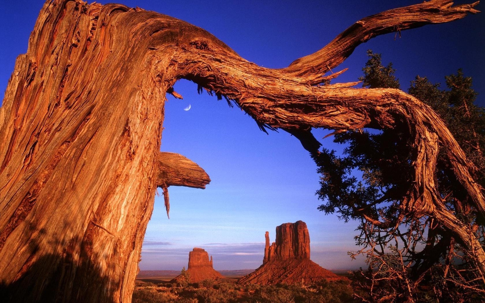 berühmte orte reisen im freien rock landschaft sonnenuntergang sandstein himmel natur wüste landschaftlich baum schlucht abend park geologie dämmerung