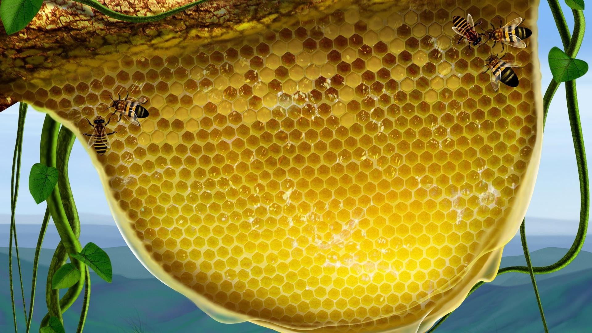 animales panal miel cera de abejas abeja colmena teléfono celular cera hexágono peine apicultura confitería colmenar oro abejas polen polígono saludable insecto larva