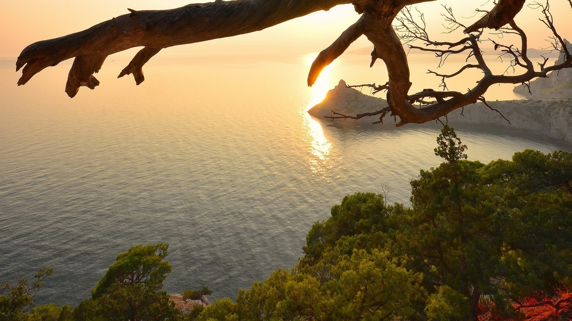 rocks boulders and stones water tree sunset landscape evening beach dawn ocean seashore outdoors nature sea lake travel sky