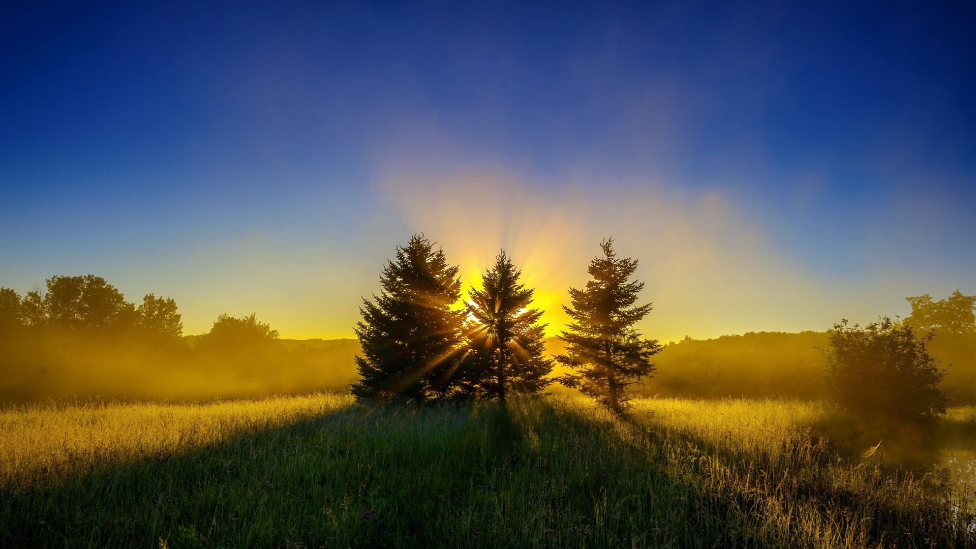 bäume sonnenuntergang sonne dämmerung landschaft natur himmel abend gutes wetter des ländlichen raumes feld landschaft im freien baum licht herbst gras