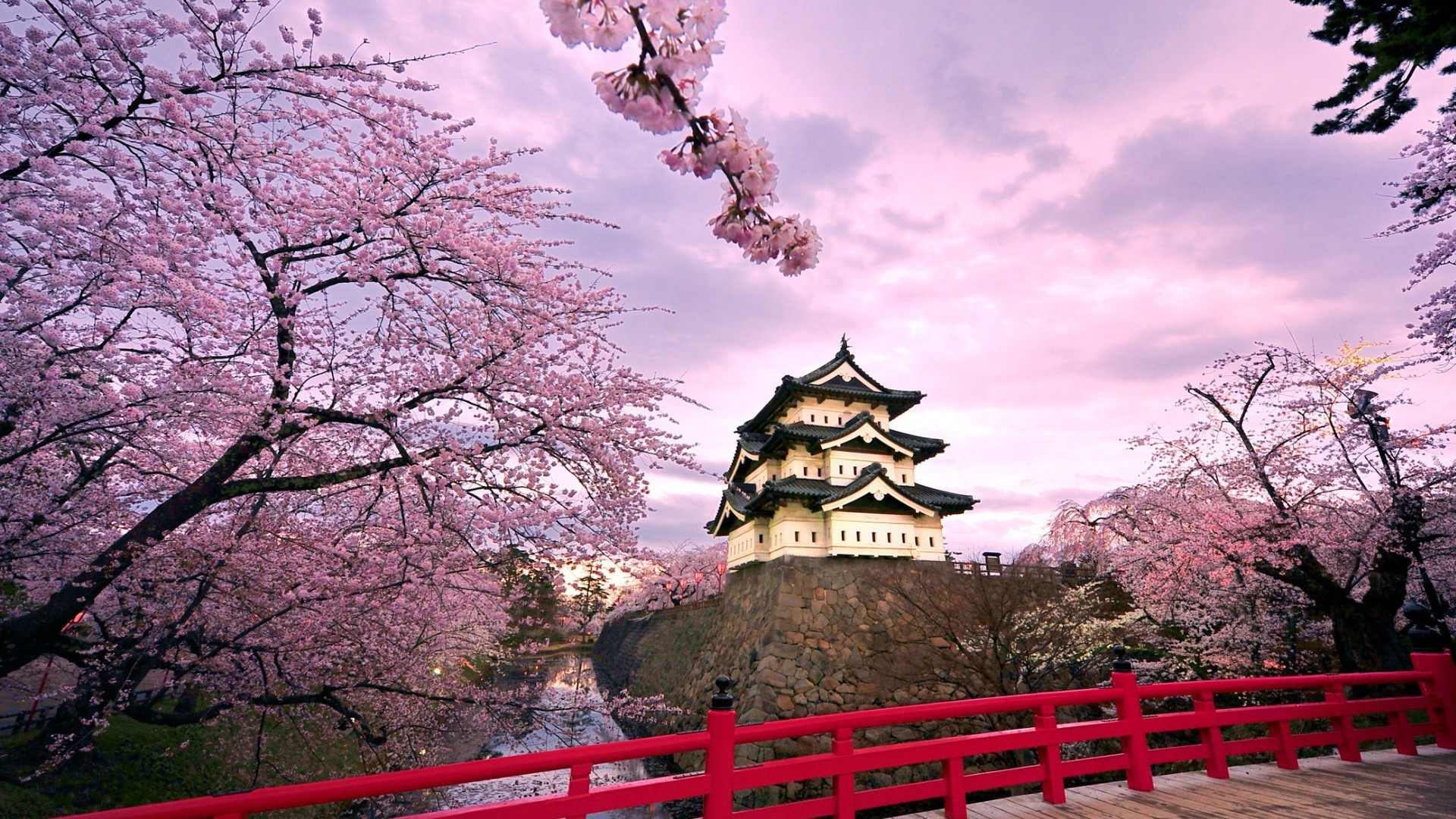 locks tree park cherry landscape garden flower travel architecture sky temple outdoors shinto traditional culture zen branch nature season beautiful