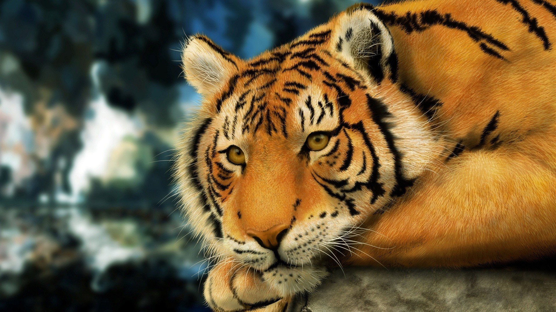 tigres tigre vida selvagem gato mamífero jardim zoológico animal predador faixa agressão retrato caçador perigo olho pele selvagem olhando natureza zangado selva