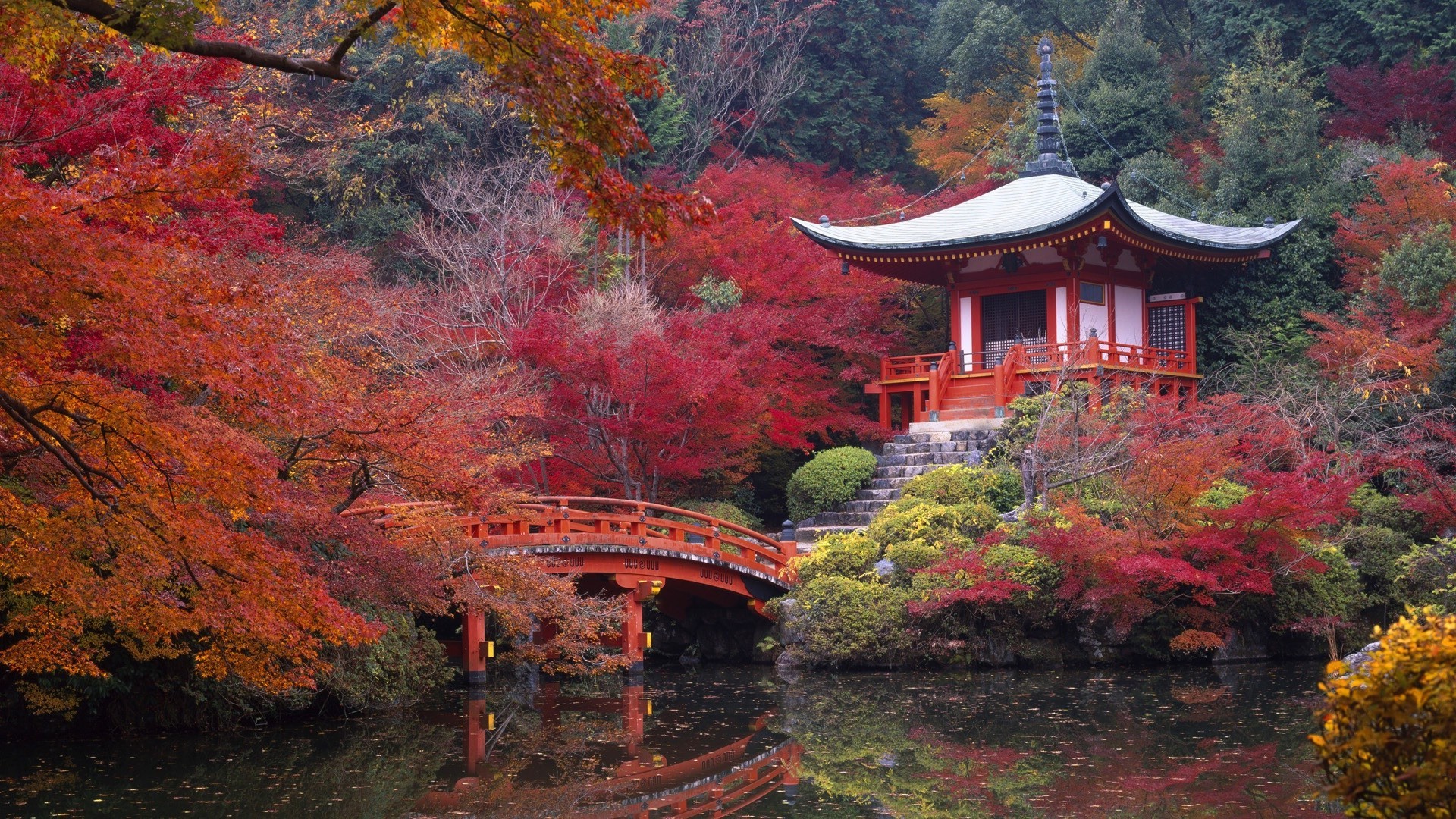 ríos estanques y arroyos estanques y arroyos otoño madera árbol arce parque hoja viajes al aire libre zen paisaje naturaleza jardín agua montañas shinto