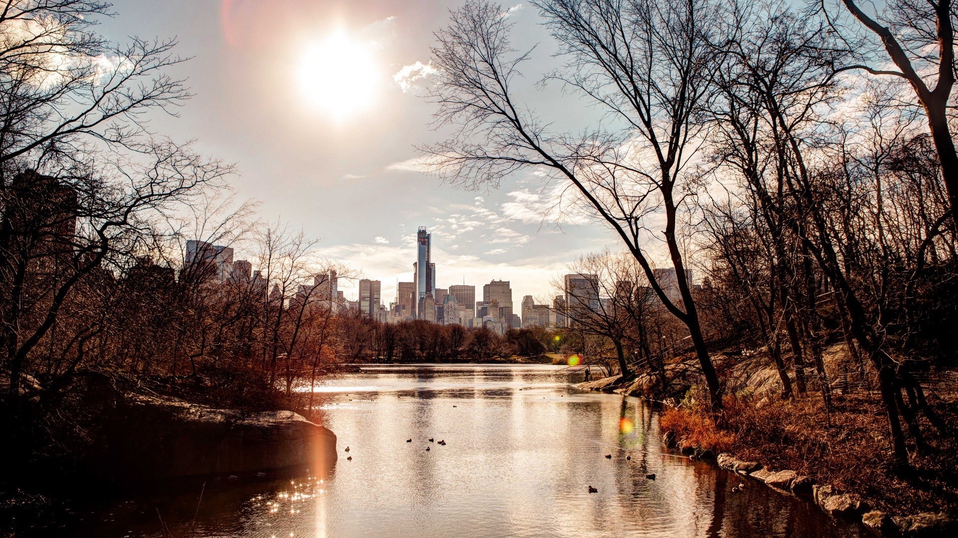 city tree winter dawn snow nature fall water landscape wood cold sunset fog river sky outdoors reflection travel lake light