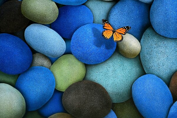 Multicolored stones. Cute butterfly