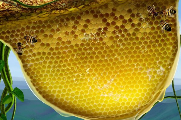 Bees make honey in honeycombs