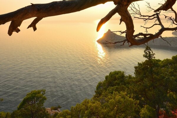 Rocas y rocas en el fondo de la puesta de sol