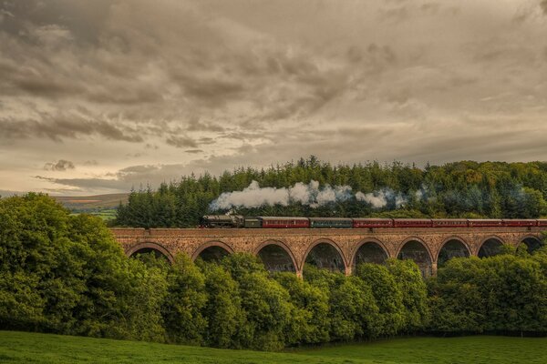 The locomotive moves across the bridge among the green hills