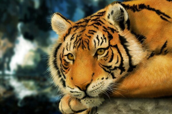 Tigre en la naturaleza yace