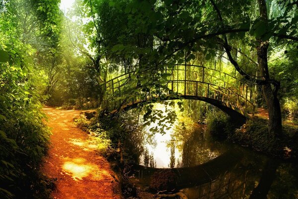 Bridge over the river at sunset