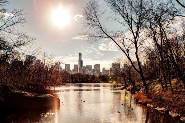 Un parque con un lago en una gran ciudad