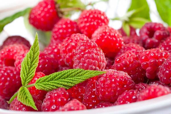 Juicy and sweet raspberries on a plate