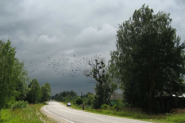 Before the storm. Moscow region