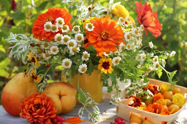 Nature in the garden, leaves and flowers