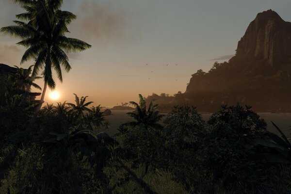 Palm trees and a mountain on the background of sunset