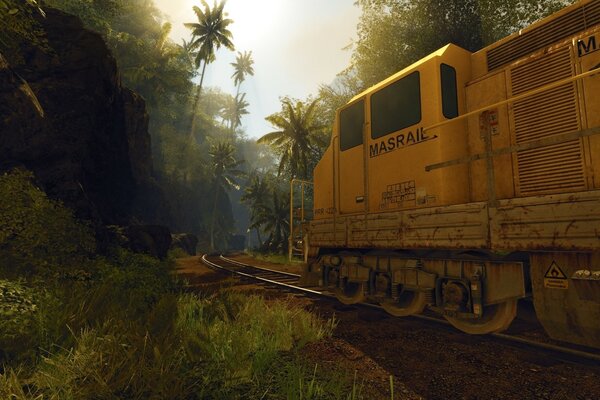 O trem passa por trilhos na floresta