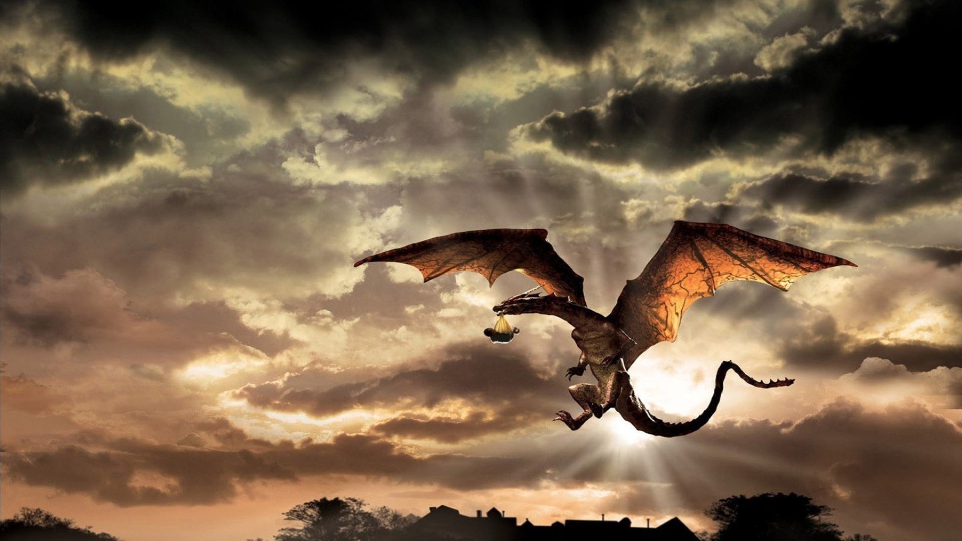 dragons sunset sky cloud dawn flight nature sun dramatic evening silhouette dusk bird