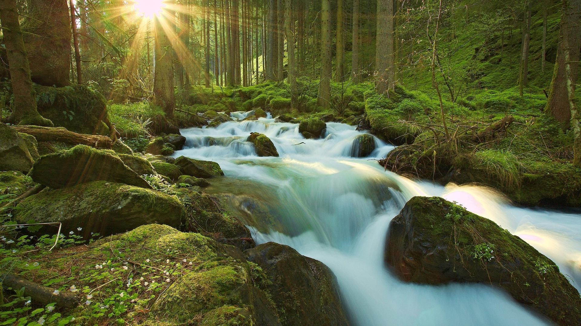 waterfalls water waterfall river wood stream rock nature moss landscape fall leaf cascade travel creek tree photograph outdoors flow environment