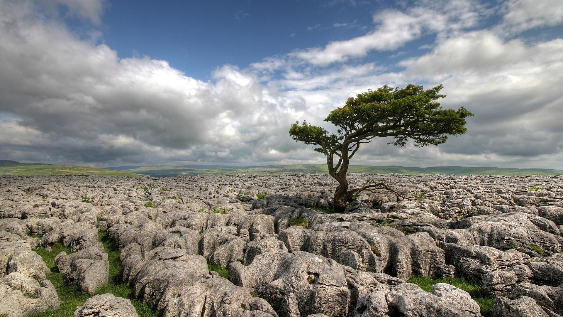 roches rochers et pierres rochers et pierres paysage ciel nature à l extérieur arbre voyage rock scénique herbe eau lumière du jour été