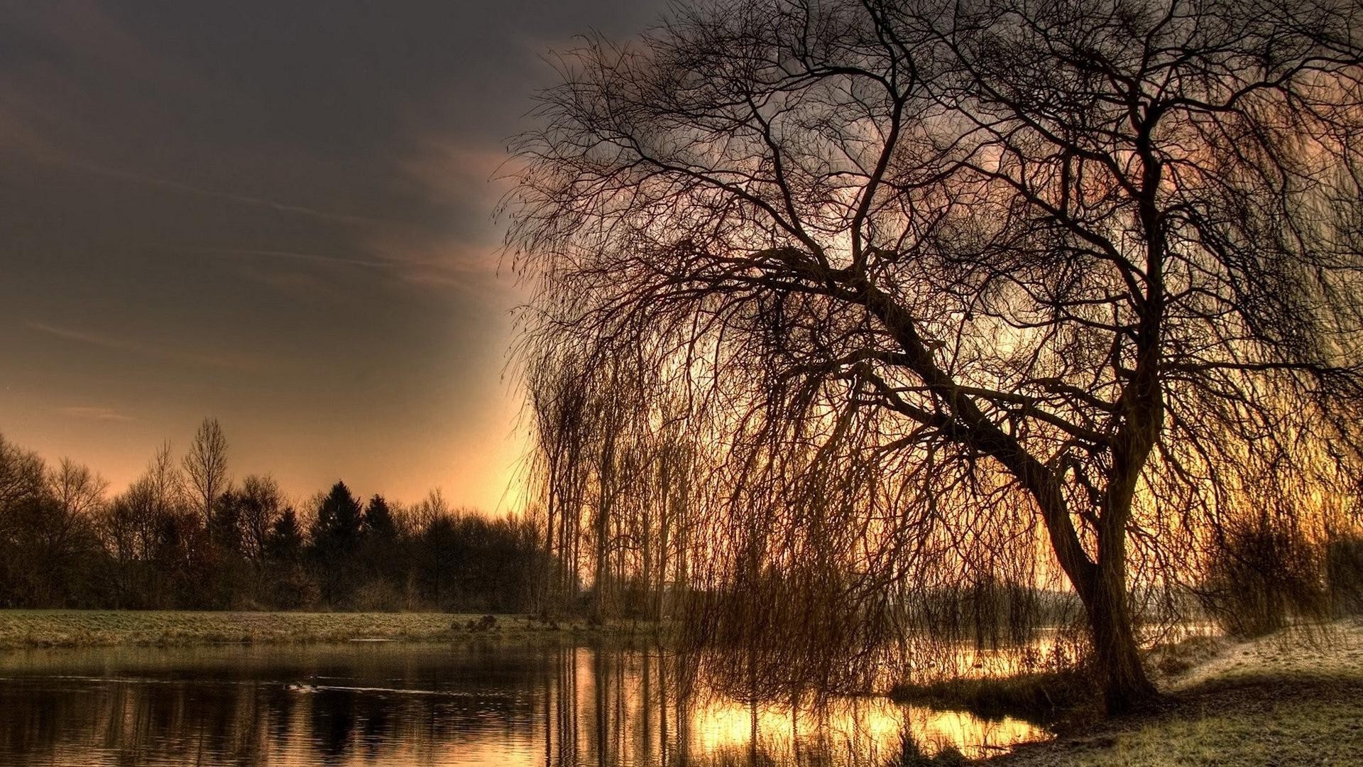 the sunset and sunrise tree dawn landscape lake reflection wood nature fall water river sunset winter park evening placid sky outdoors composure