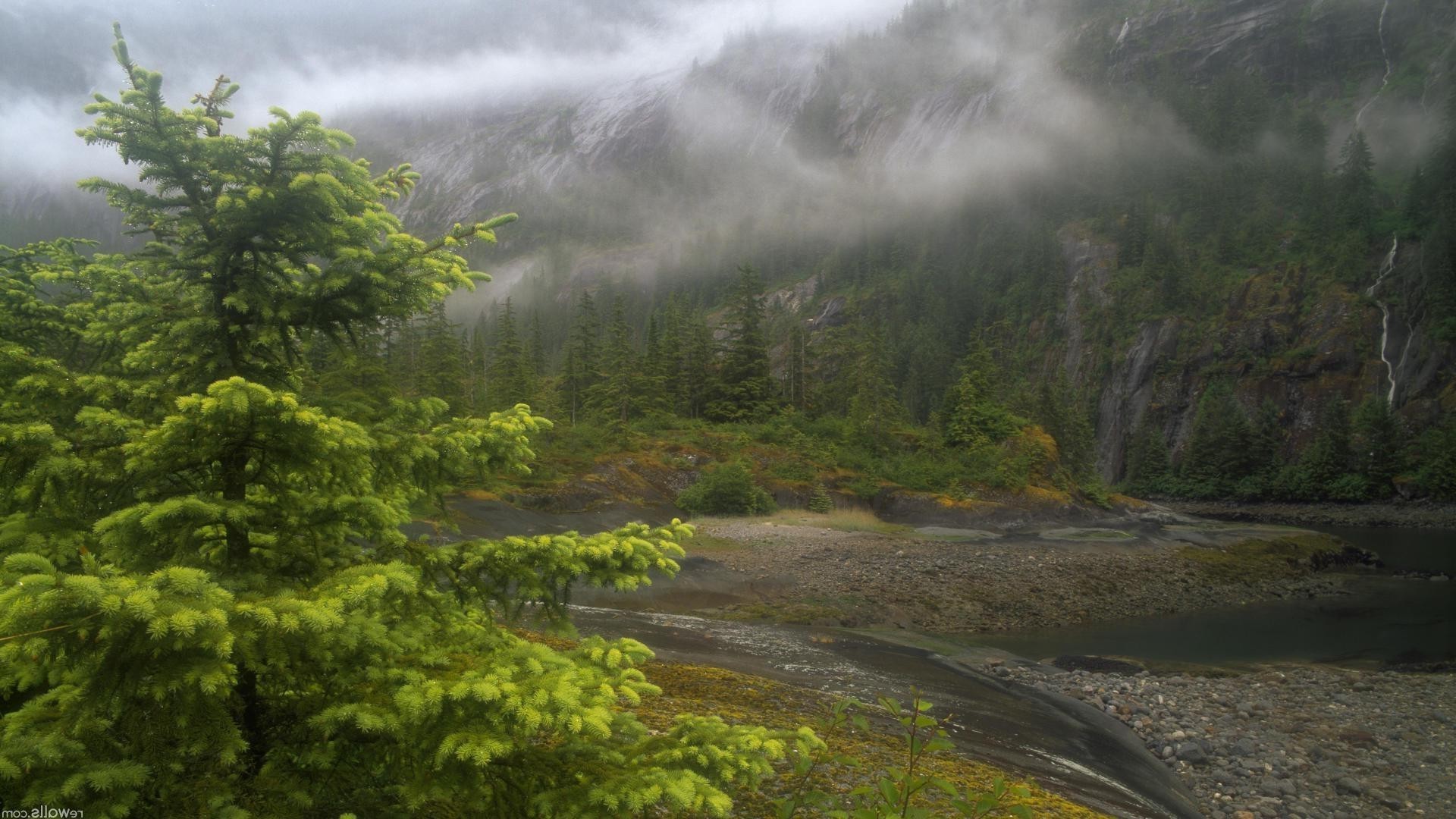 mountains landscape nature tree water fog travel outdoors wood mountain mist fall scenic river leaf sky park