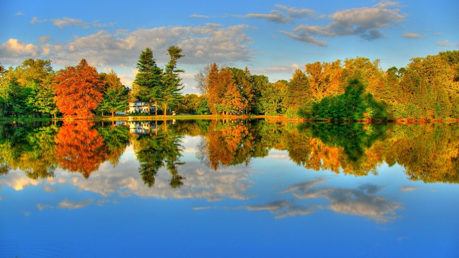 lago árbol al aire libre naturaleza otoño cielo luz del día paisaje madera hoja escénico buen tiempo sol amanecer atardecer noche verano