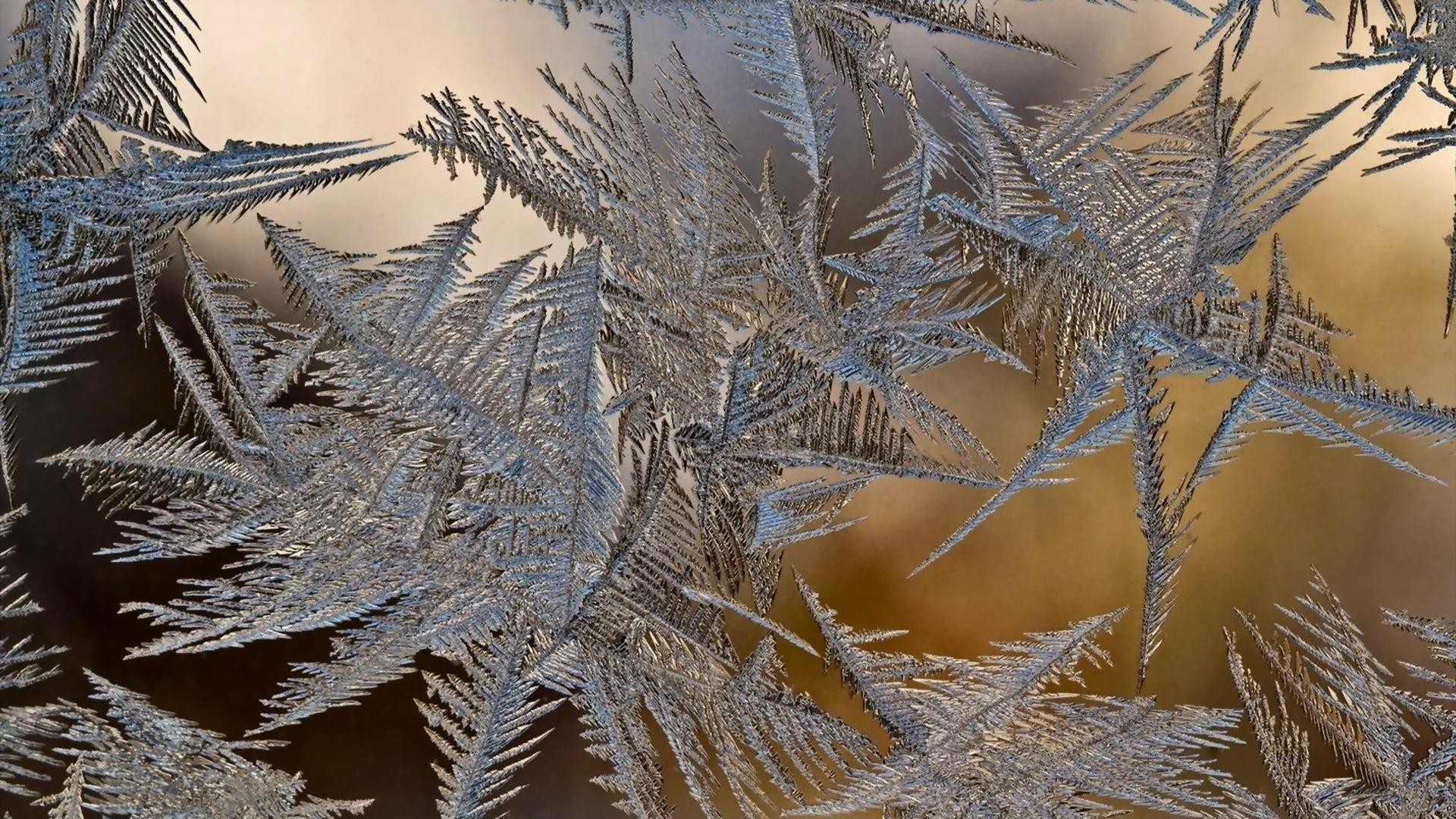 items winter frost christmas snow tree nature cold season desktop