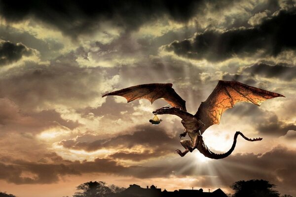 Flying dragon in the clouds at dawn