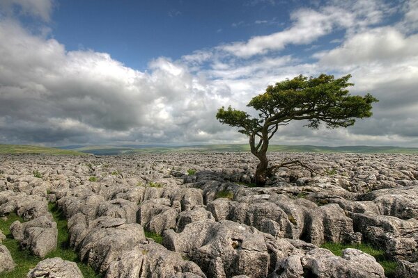 Felsbrocken und Steine passen perfekt in das Bild unseres Bewusstseins