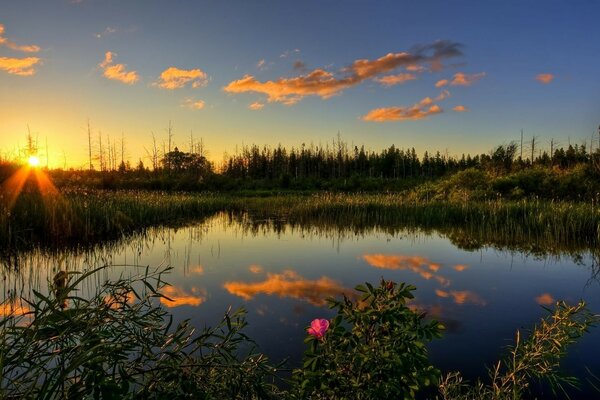 The setting sun is reflected in the water