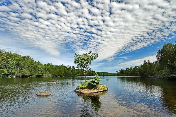 Rivière avec ciel nuageux et forêt sur les rives