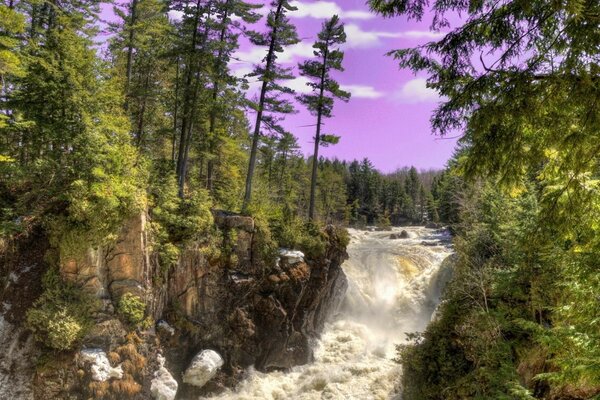 Waterfall and wood nature landscape