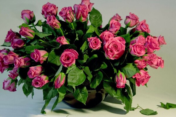 Bouquet of beautiful roses in a vase