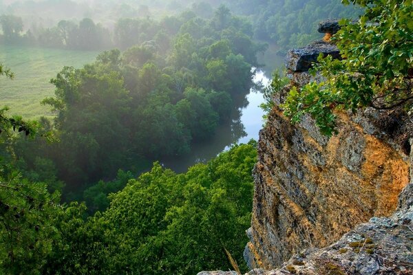 Felsen am Fluss und Bäume