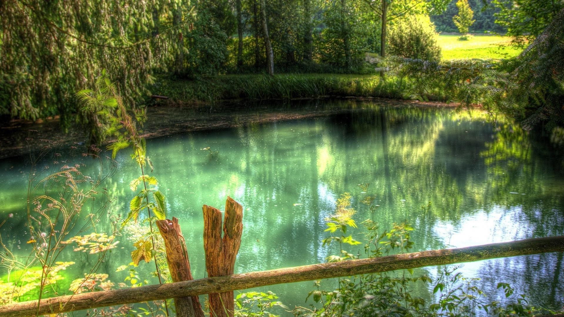 see wasser holz natur holz fluss reflexion landschaft sommer blatt park im freien landschaftlich landschaftlich reisen umwelt schwimmbad gelassenheit dämmerung gutes wetter